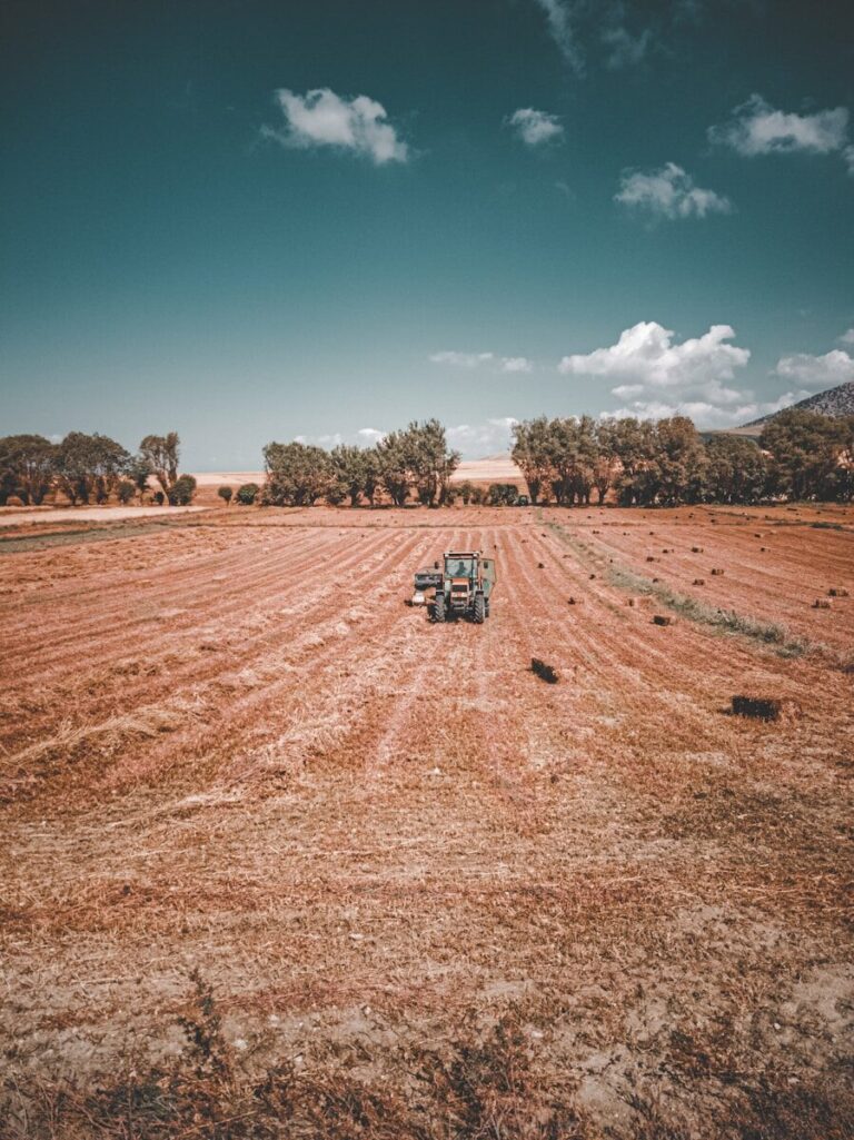 Landmaschinen aus Dänemark: So finden und bewerten Landwirte die richtigen Gebrauchtkäufe white and black truck on brown field under blue sky during daytime